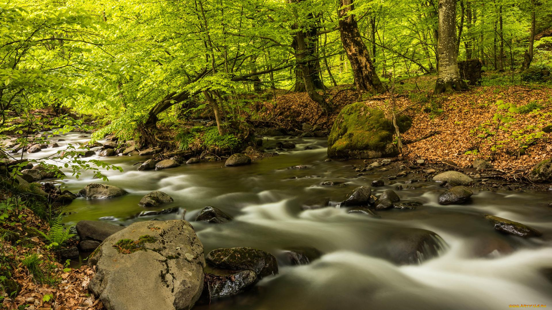 природа, реки, озера, камни, деревья, лес, река