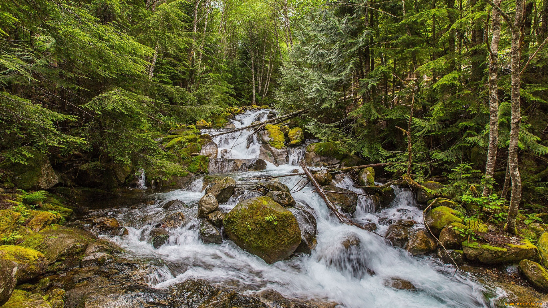 природа, реки, озера, простор