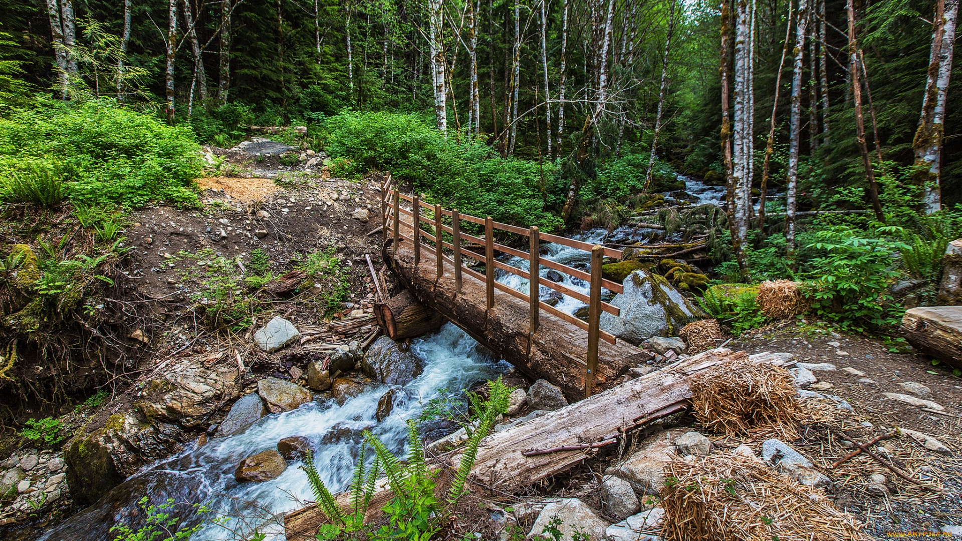 природа, реки, озера, простор