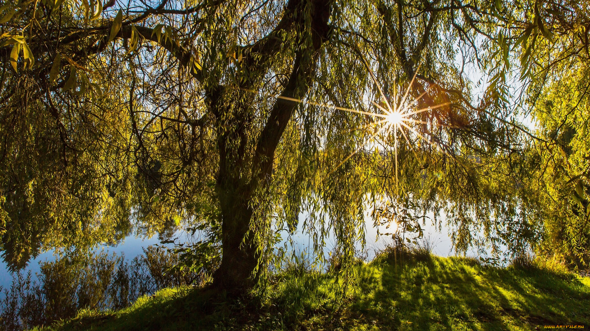 природа, реки, озера, простор