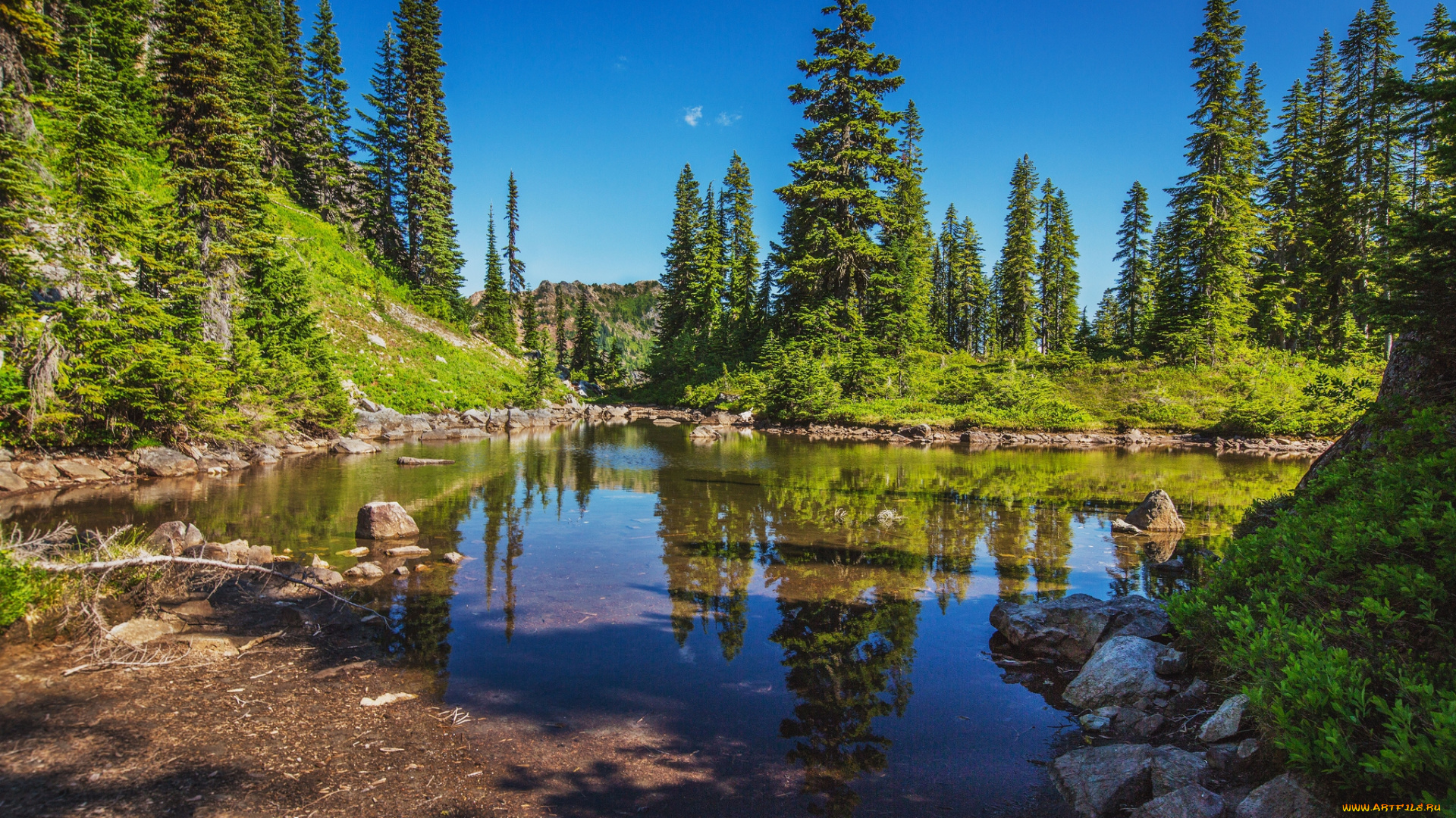 природа, реки, озера, простор