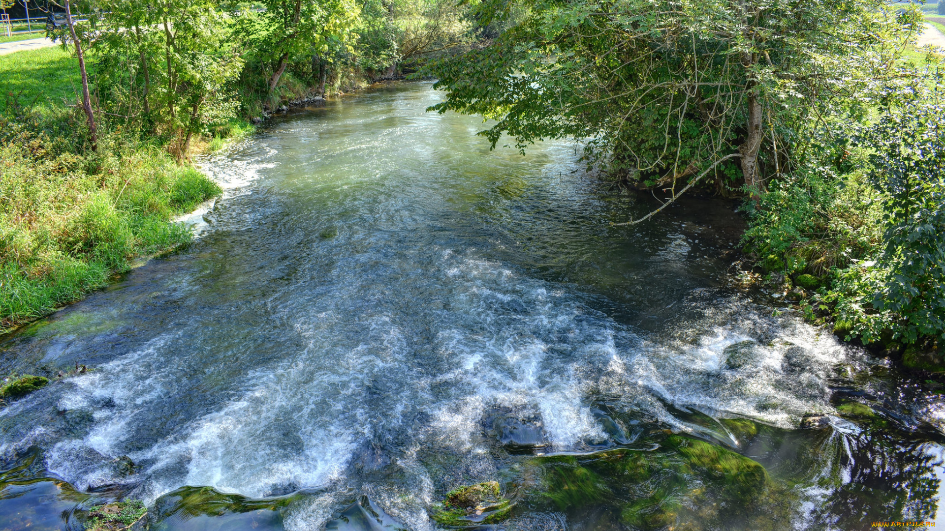 природа, реки, озера, простор