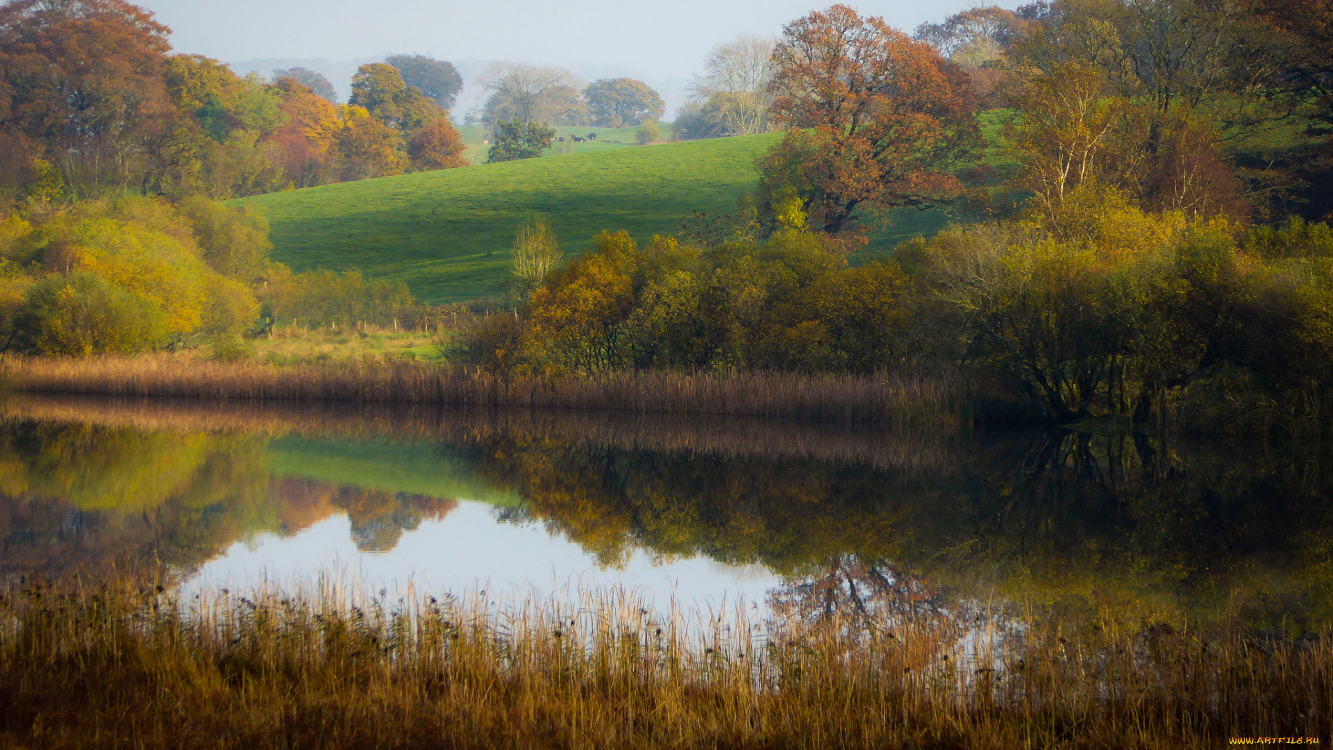 природа, реки, озера, простор