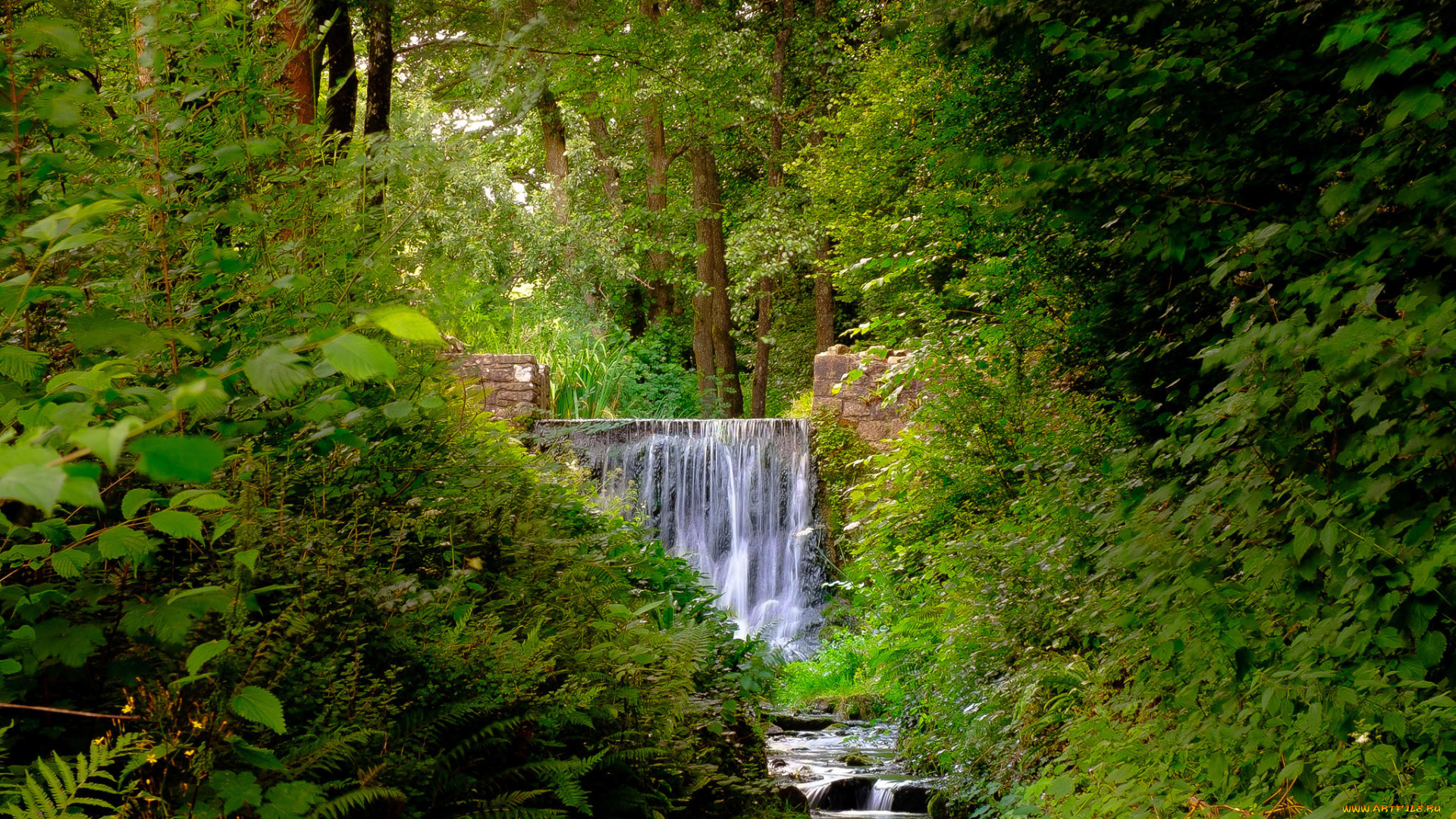 природа, водопады, пейзаж, деревья, лес, водопад