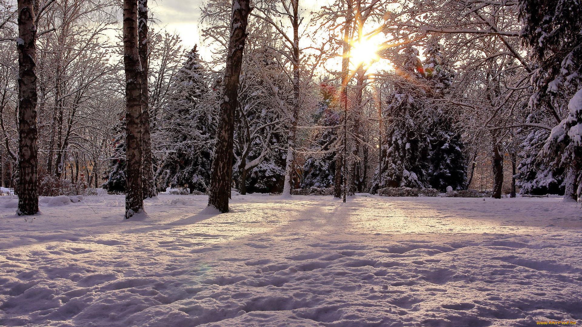 природа, зима, пейзаж, k, закат, деревья