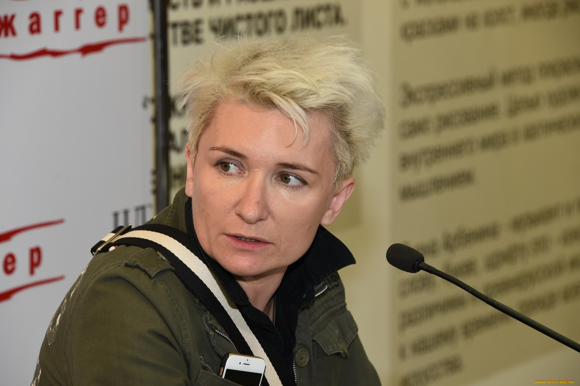 диана, арбенина, музыка, ночные, снайперы, микрофон, певица, женщина