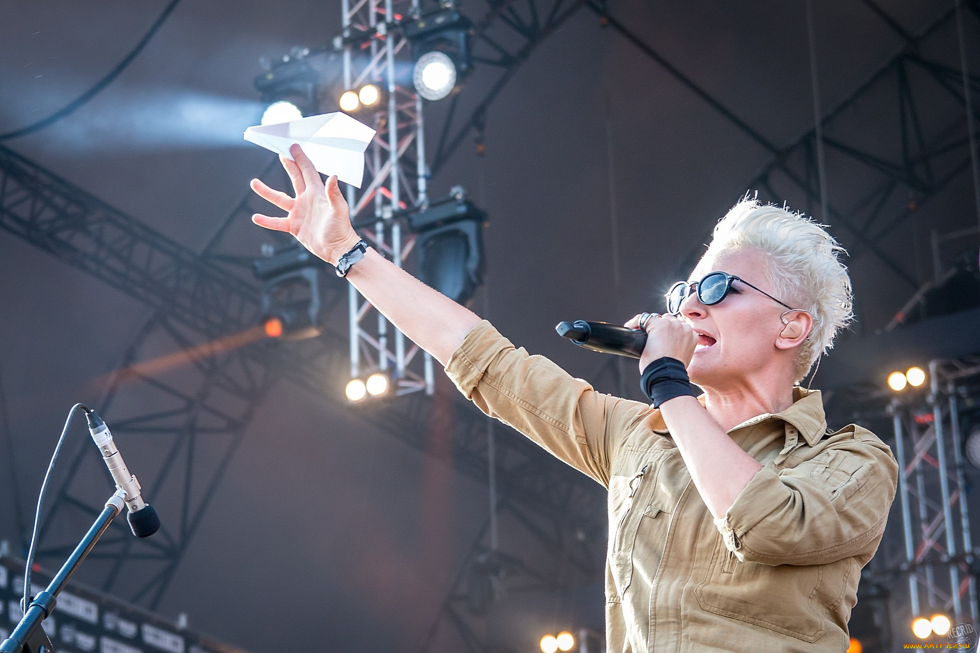 диана, арбенина, музыка, ночные, снайперы, микрофон, самолет, очки, певица, женщина