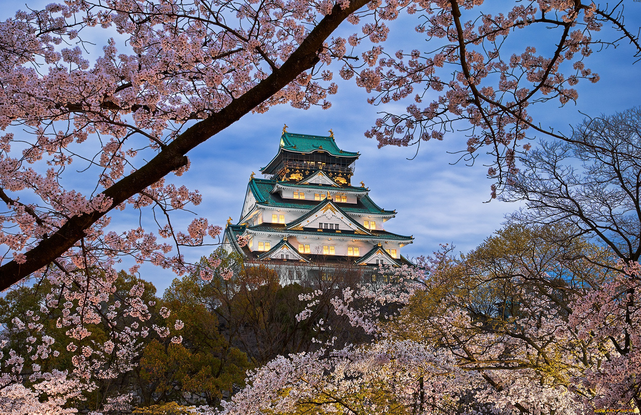 osaka, castle, in, japan, города, осака, , Япония, простор