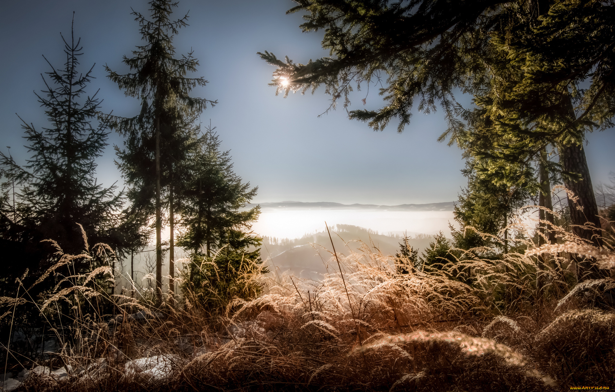 природа, пейзажи, простор