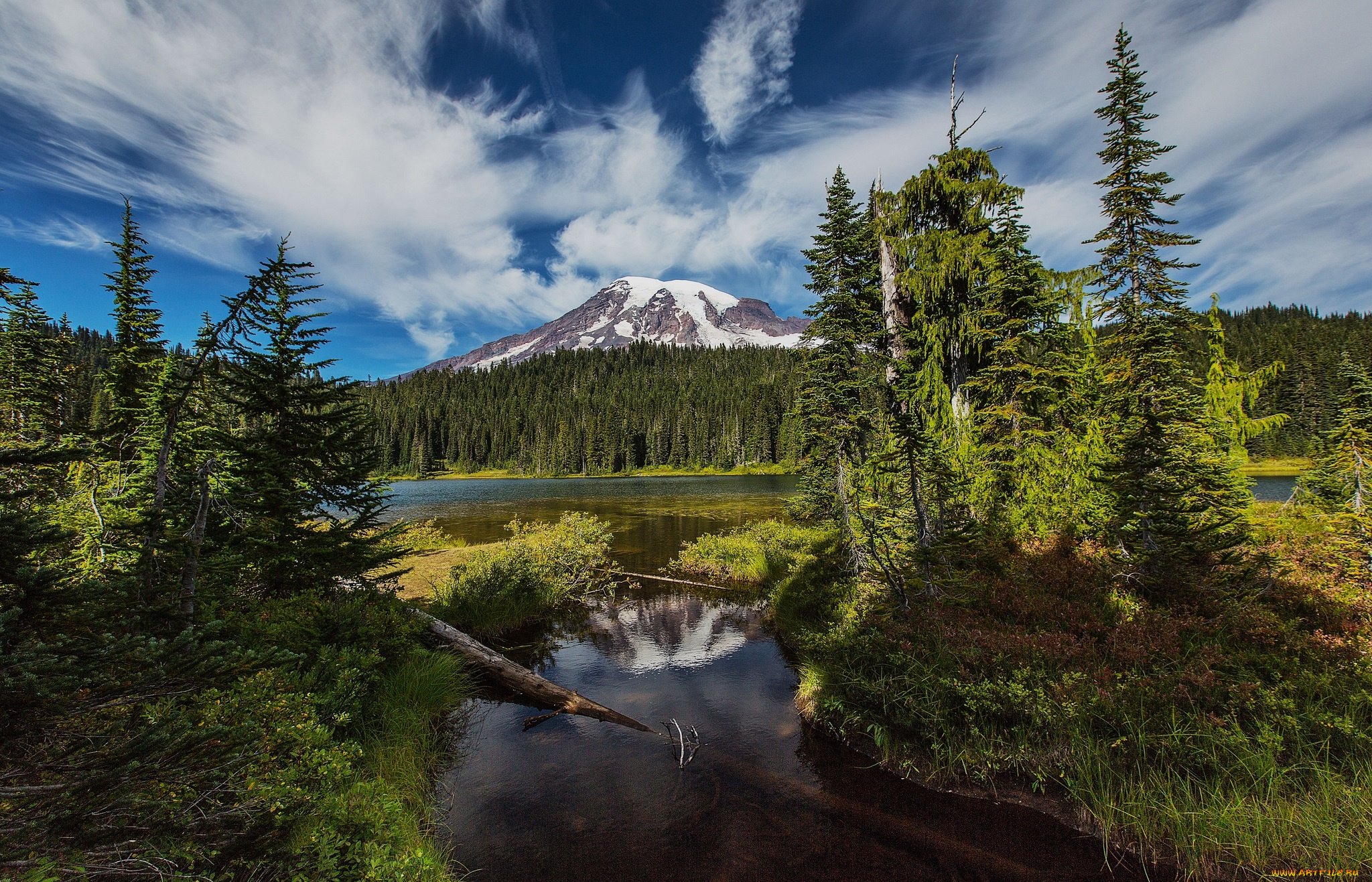 природа, пейзажи, простор