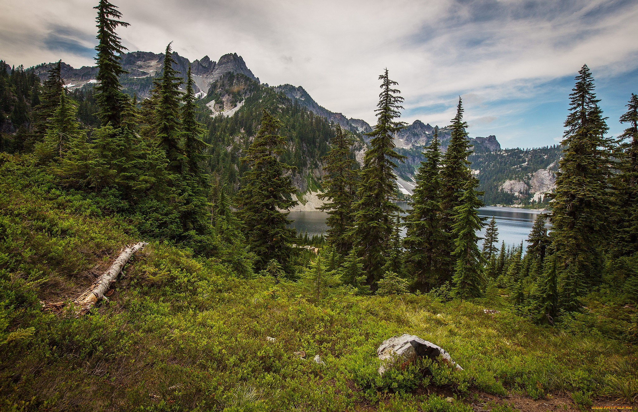 природа, пейзажи, простор