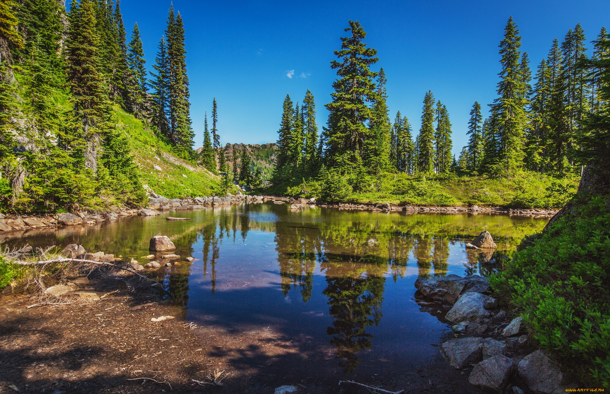 природа, реки, озера, простор