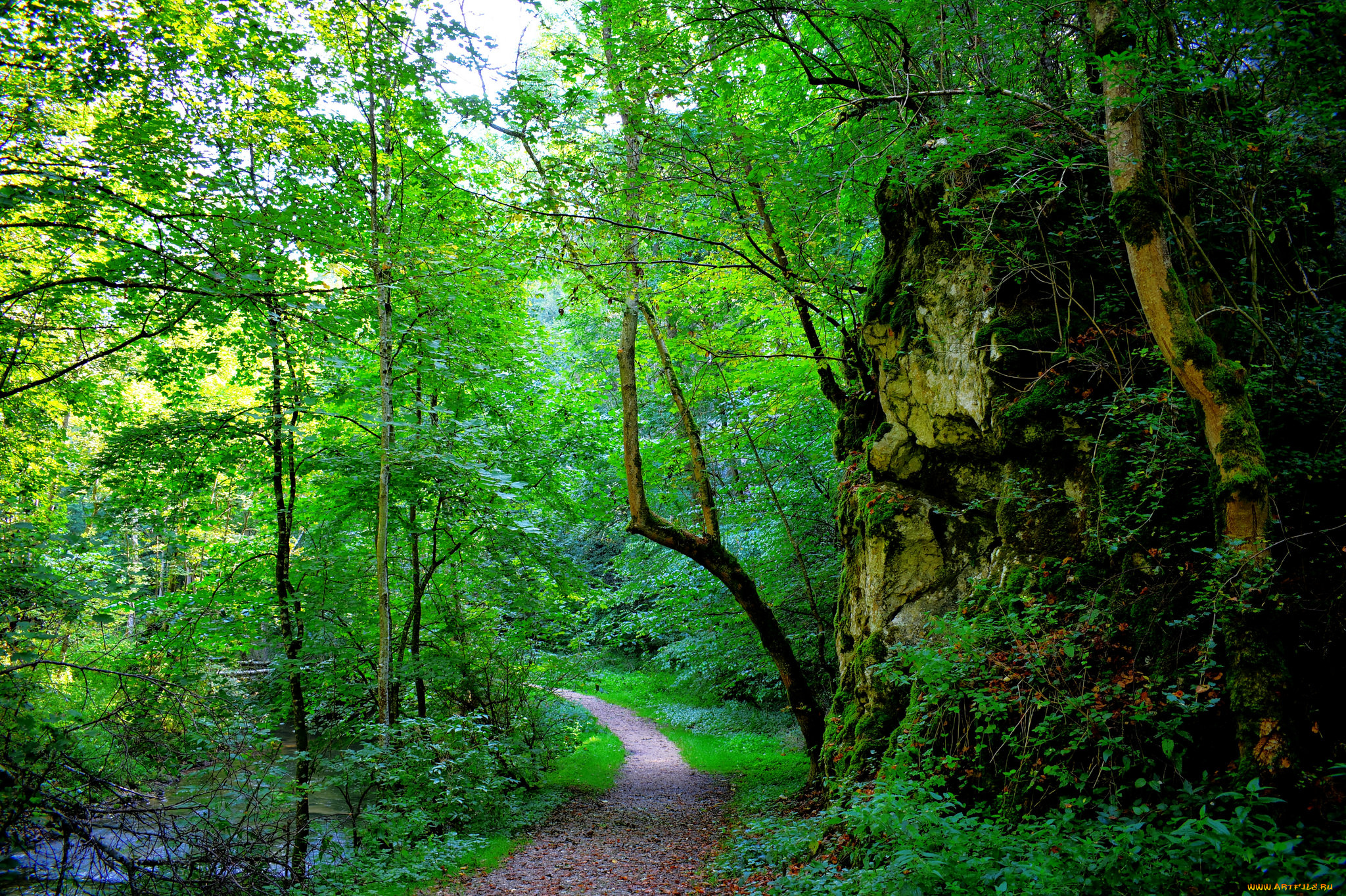 природа, дороги, простор