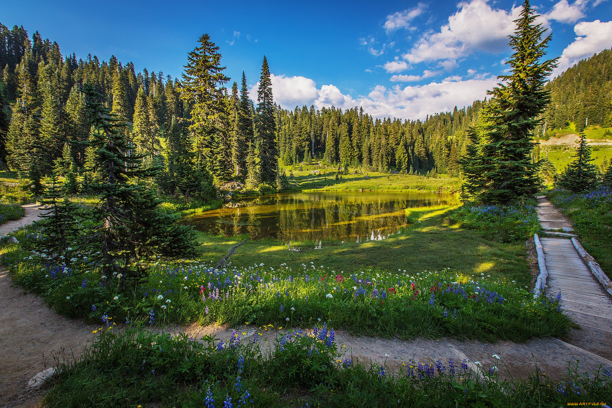природа, пейзажи, простор