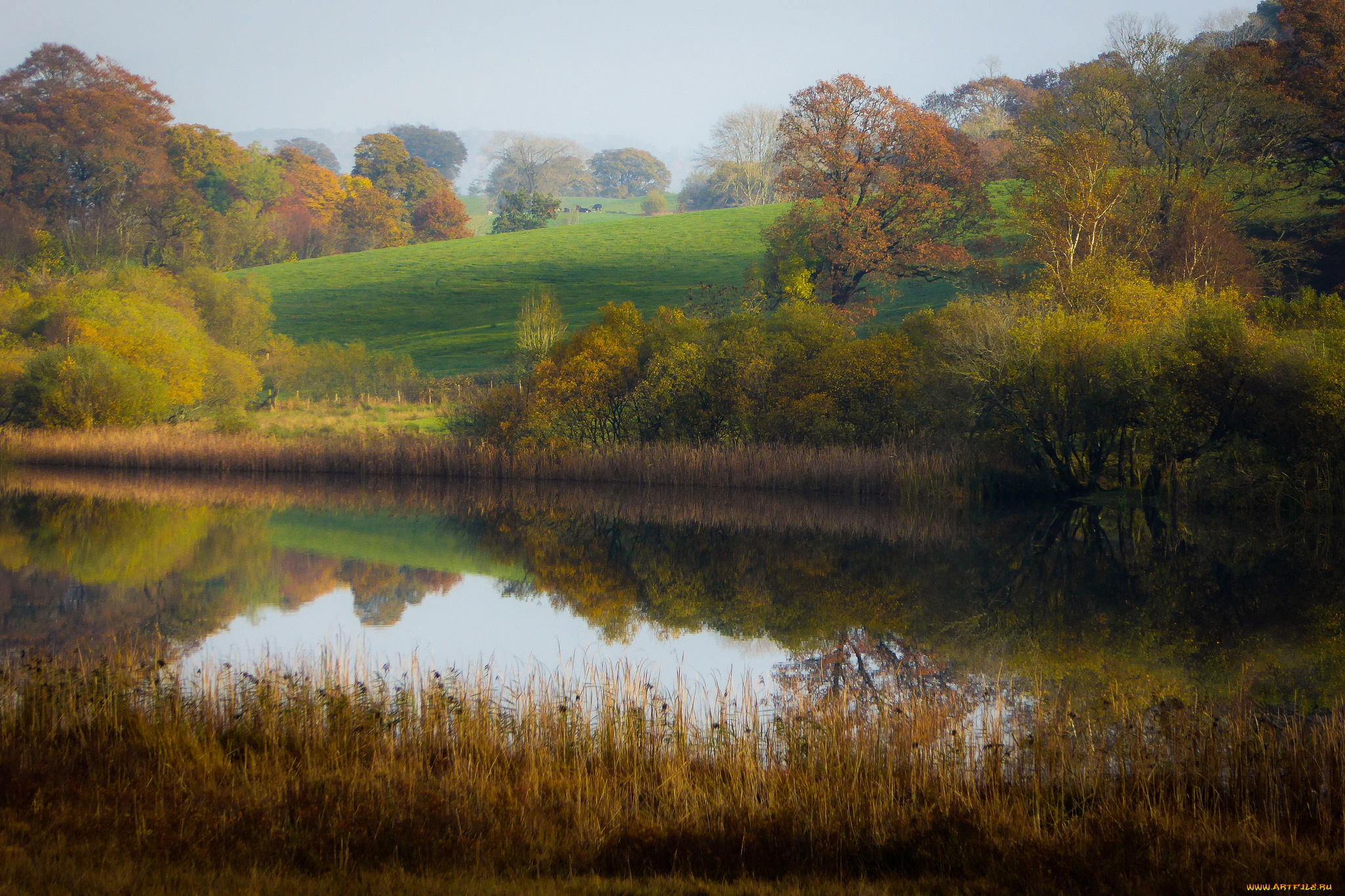 природа, реки, озера, простор