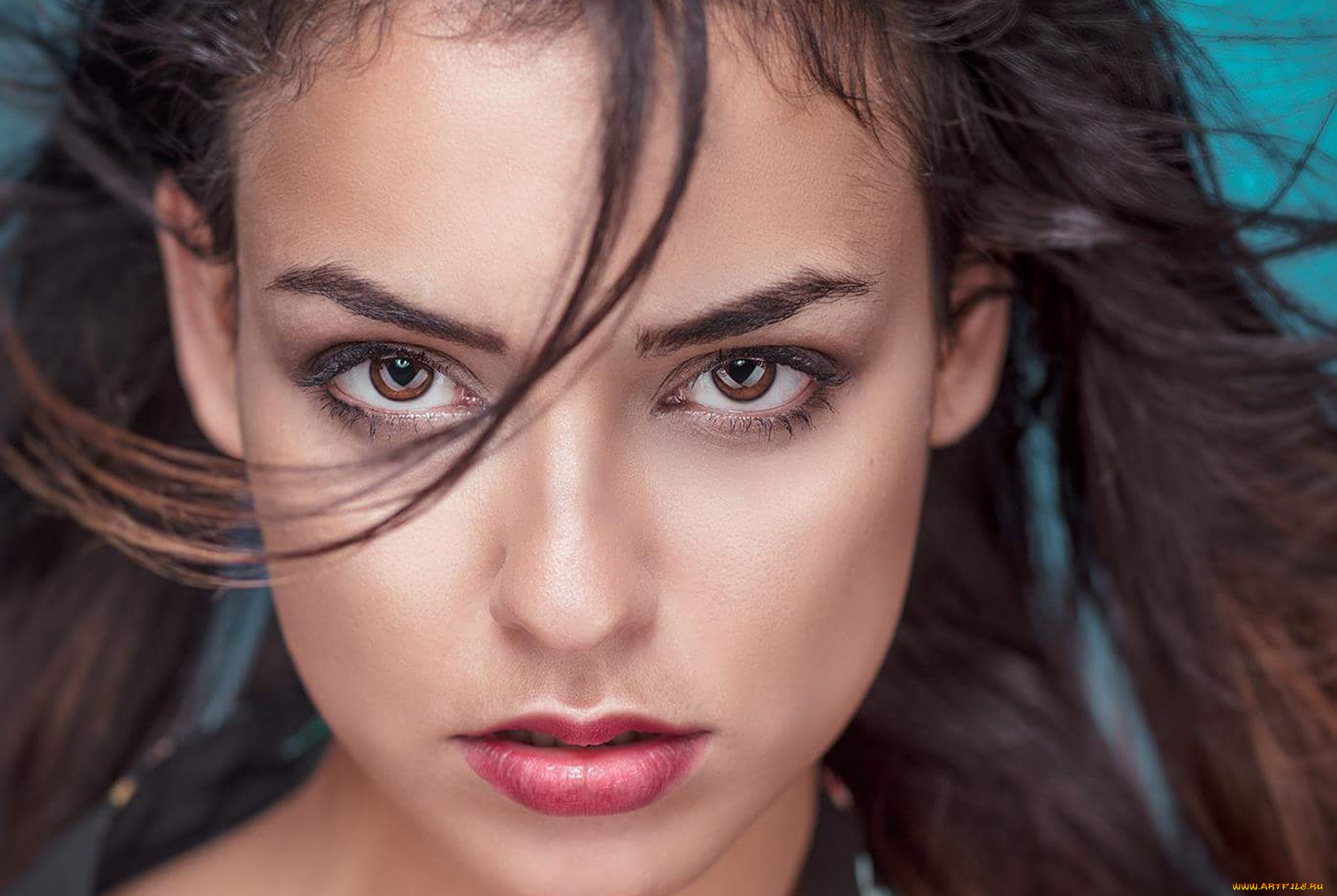 joanna, lattimore, девушки, joanna, lattimore, , joy, lamore, joanna, lattimore, лицо, портрет, joy, lamore, девушка, модель, брюнетка, красотка, знойная, стройная, сексуальная, поза, флирт, взгляд, макияж, причёска, чёрный