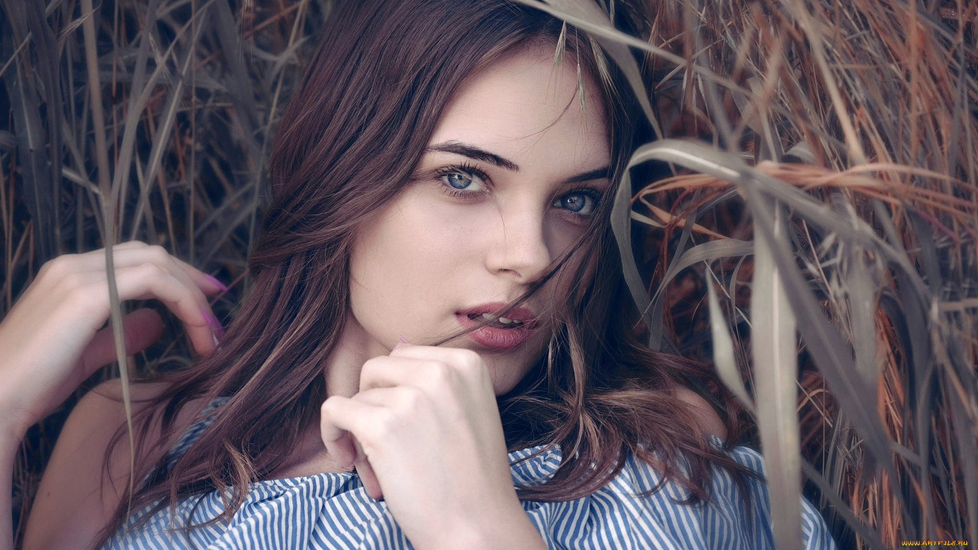 девушки, -, лица, , портреты, шатенка, взгляд