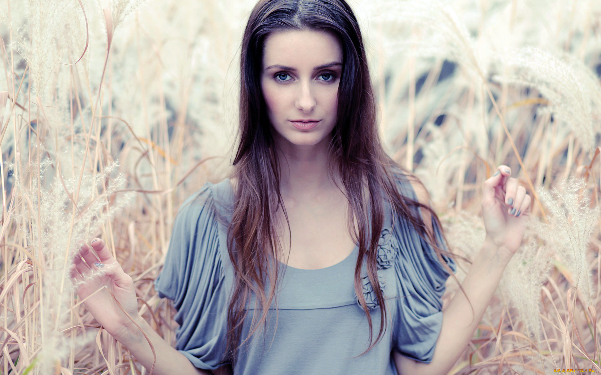 девушки, -, брюнетки, , шатенки, шатенка, платье, поле