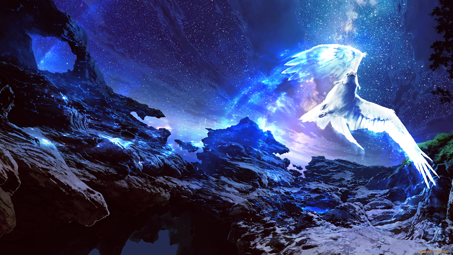 фэнтези, иные, миры, , иные, времена, птица