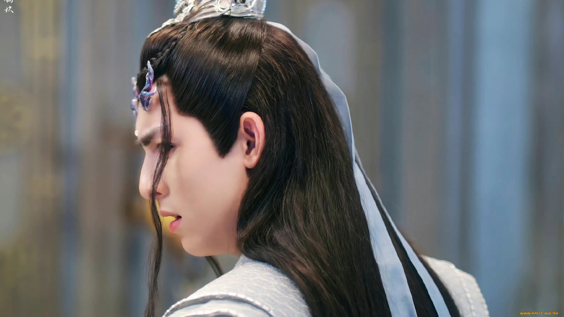 кино, фильмы, immortal, samsara, ван, хао, сюань, вечная, самсара, щепки, агарового, дерева