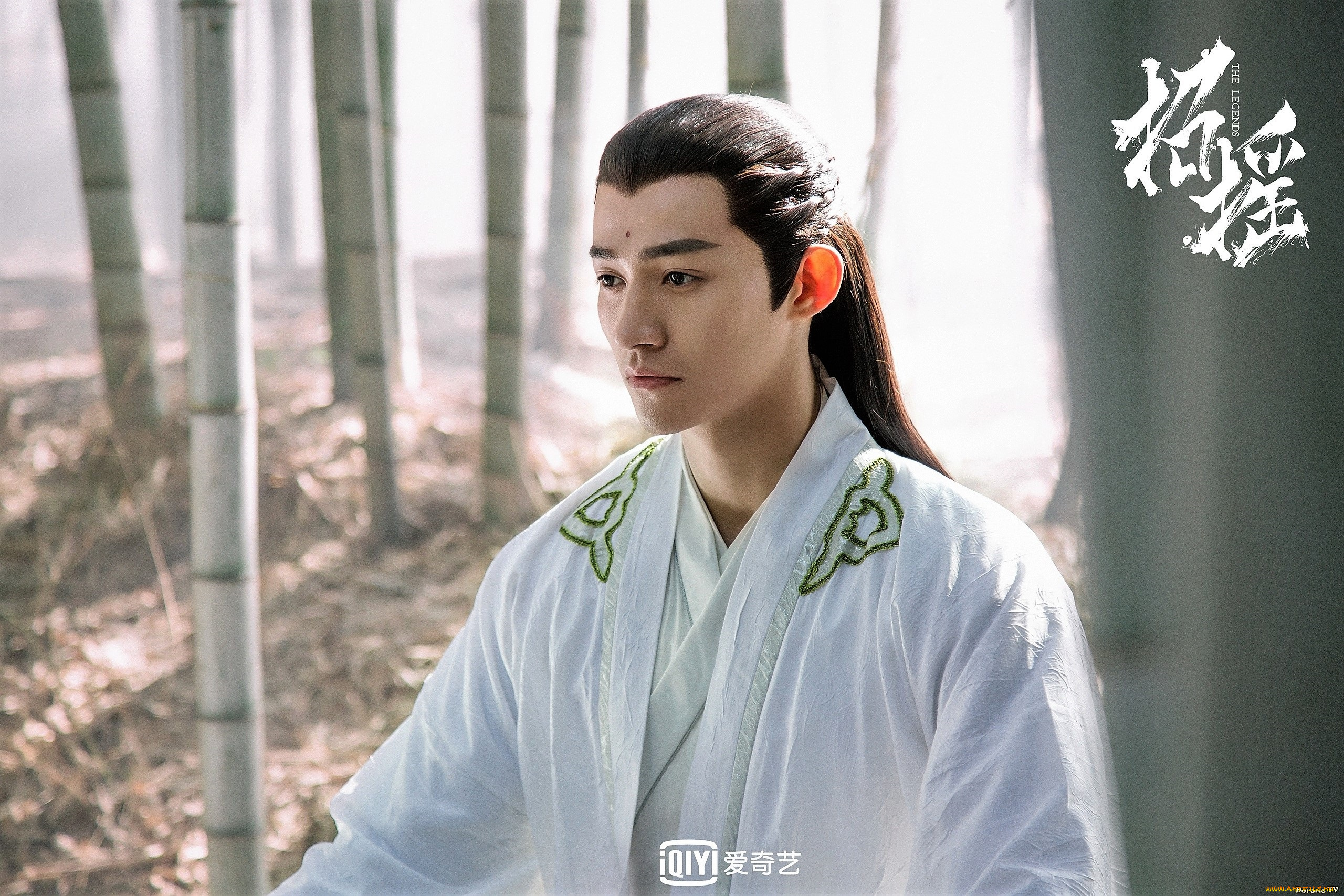 кино, фильмы, the, legends, мужчина, бамбук