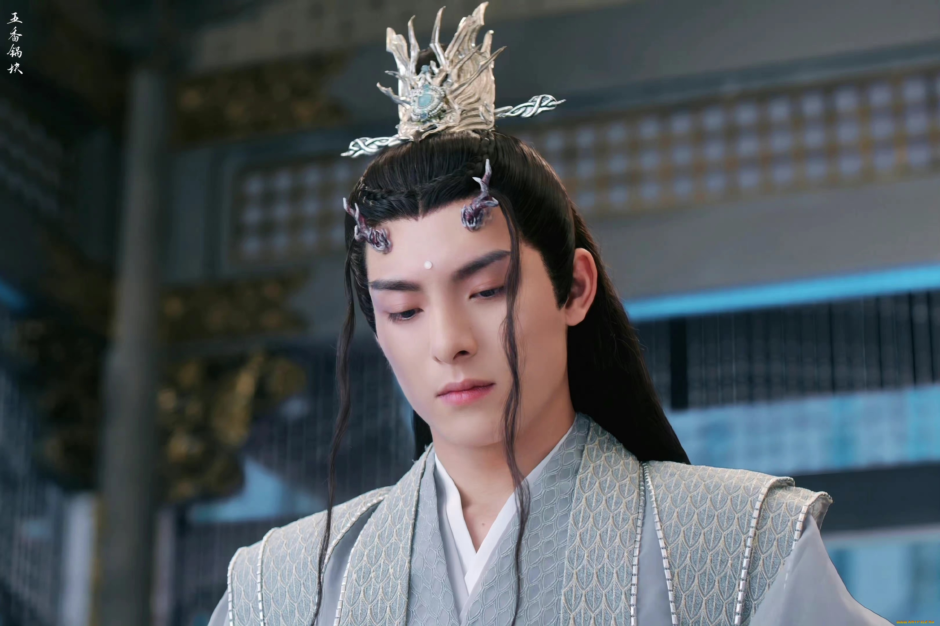 кино, фильмы, immortal, samsara, ван, хао, сюань, вечная, самсара, щепки, агарового, дерева