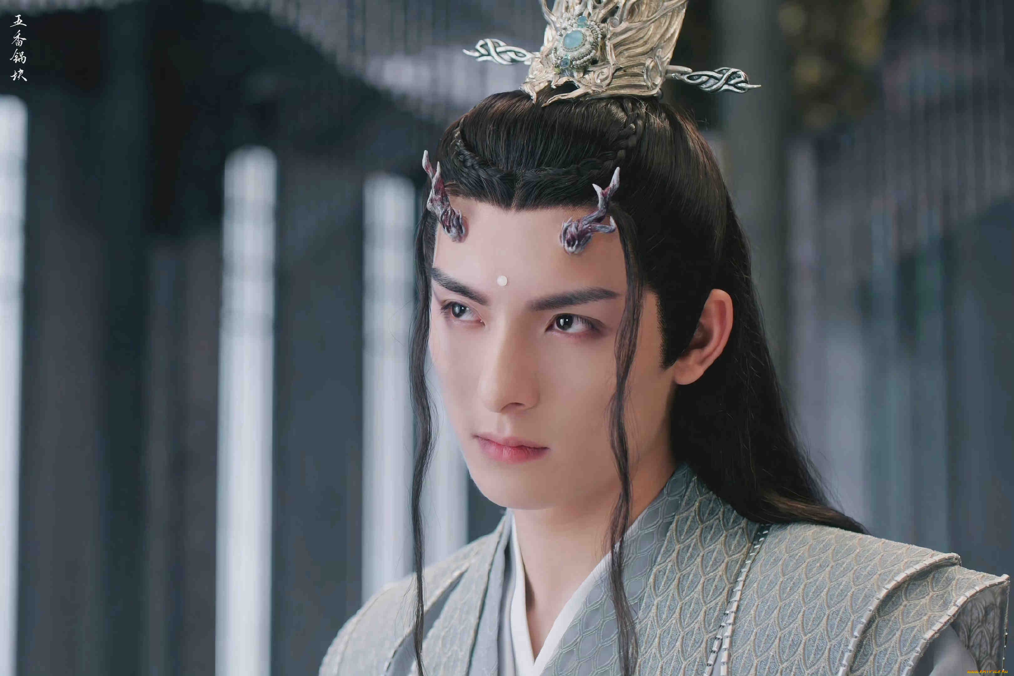 кино, фильмы, immortal, samsara, ван, хао, сюань, вечная, самсара, щепки, агарового, дерева