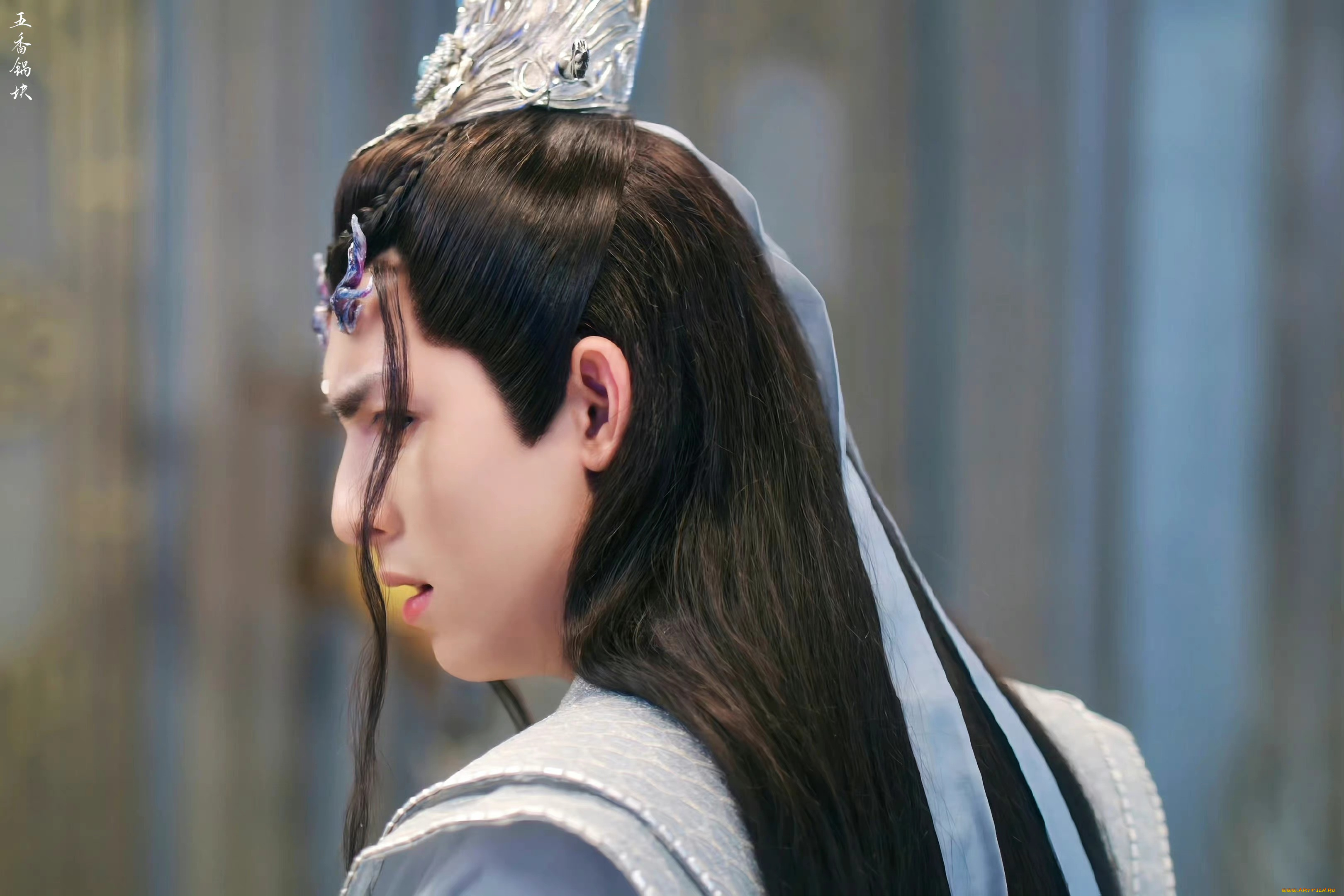 кино, фильмы, immortal, samsara, ван, хао, сюань, вечная, самсара, щепки, агарового, дерева