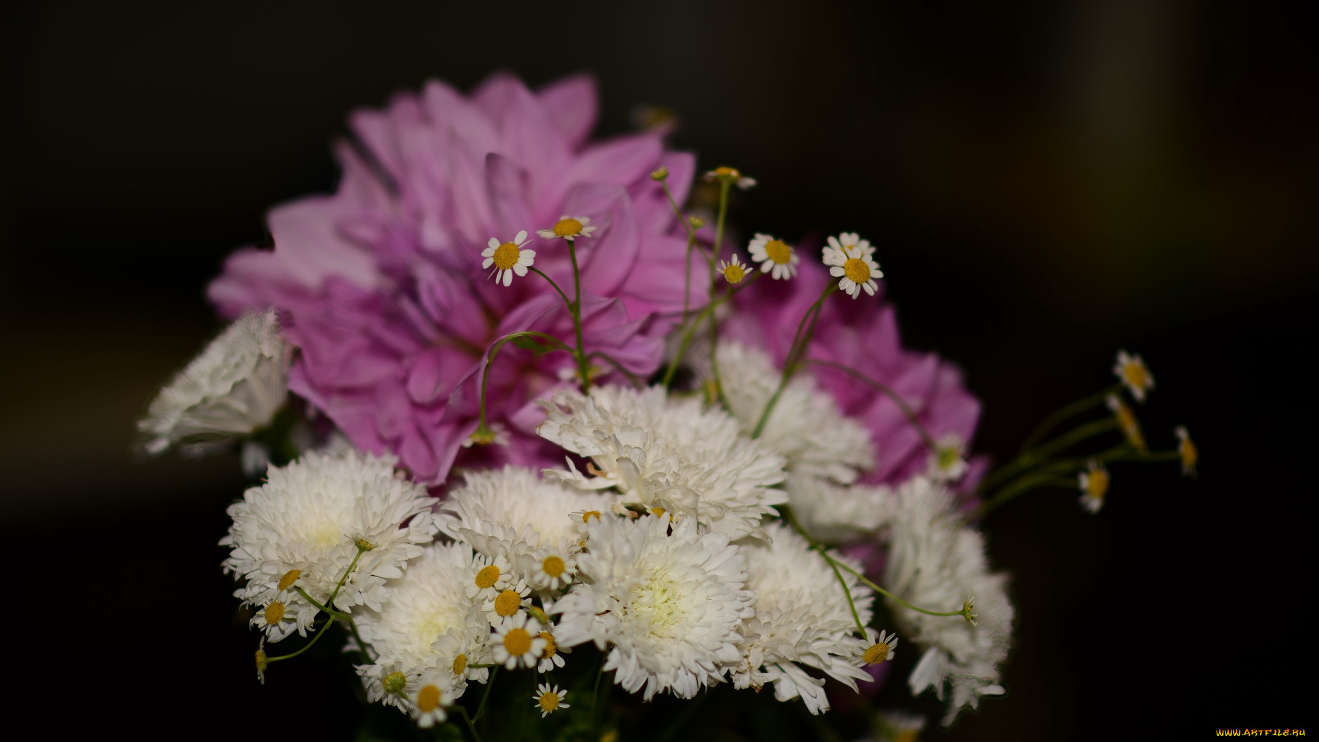 цветы, букеты, , композиции, георгин, хризантема, ромашки