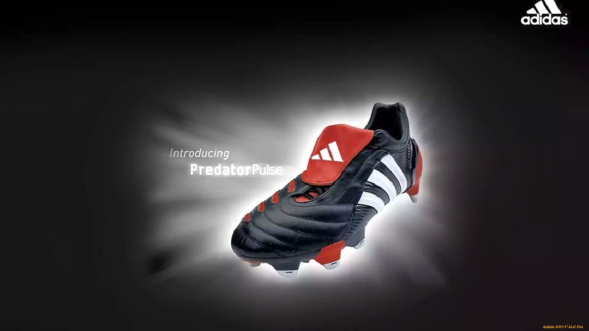 бренды, adidas, обувь, кроссовок