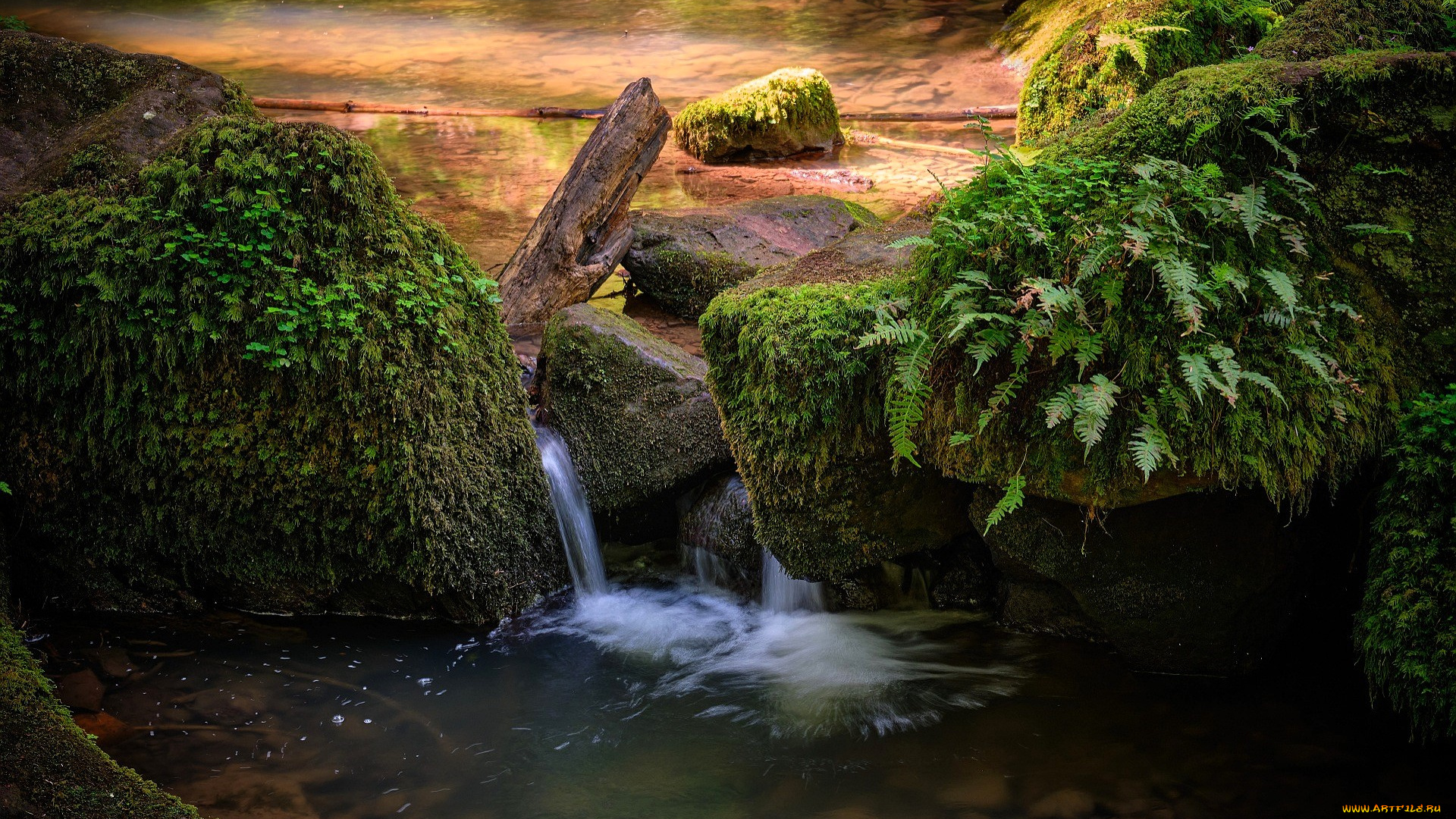 природа, водопады, водопад, озеро, камни, папоротник