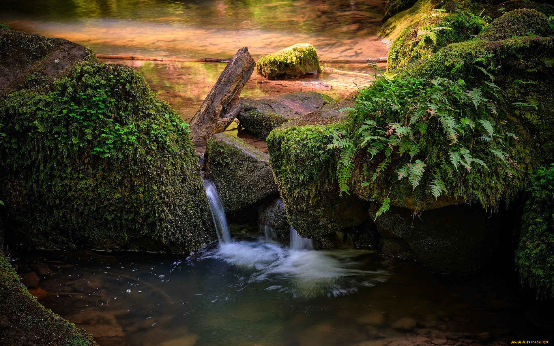 природа, водопады, водопад, озеро, камни, папоротник