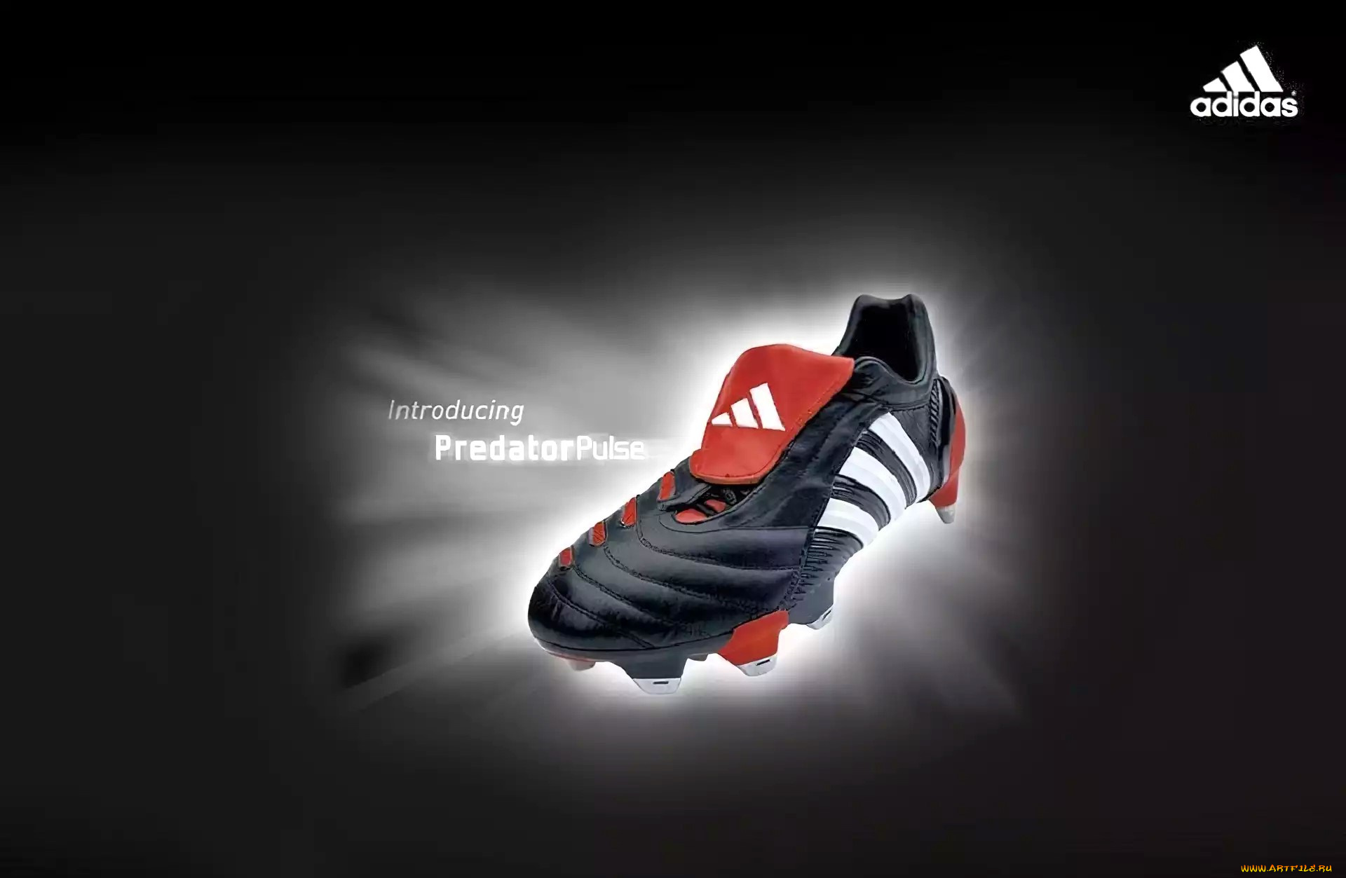 бренды, adidas, обувь, кроссовок