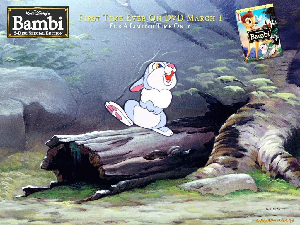 мультфильмы, bambi