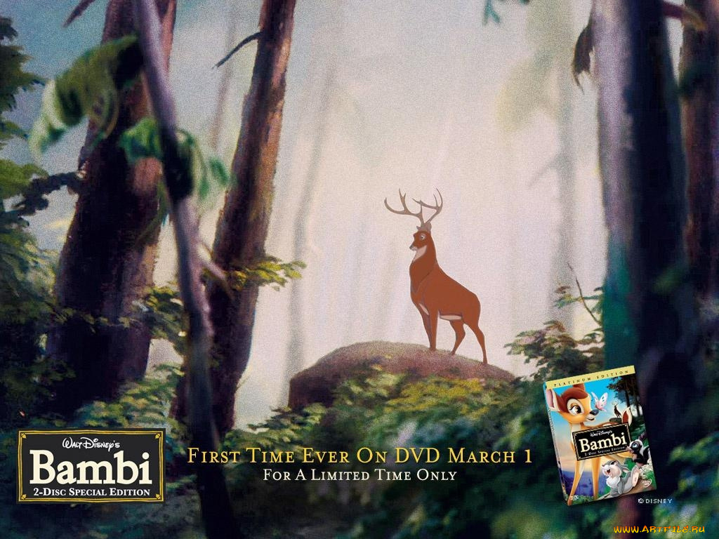 мультфильмы, bambi