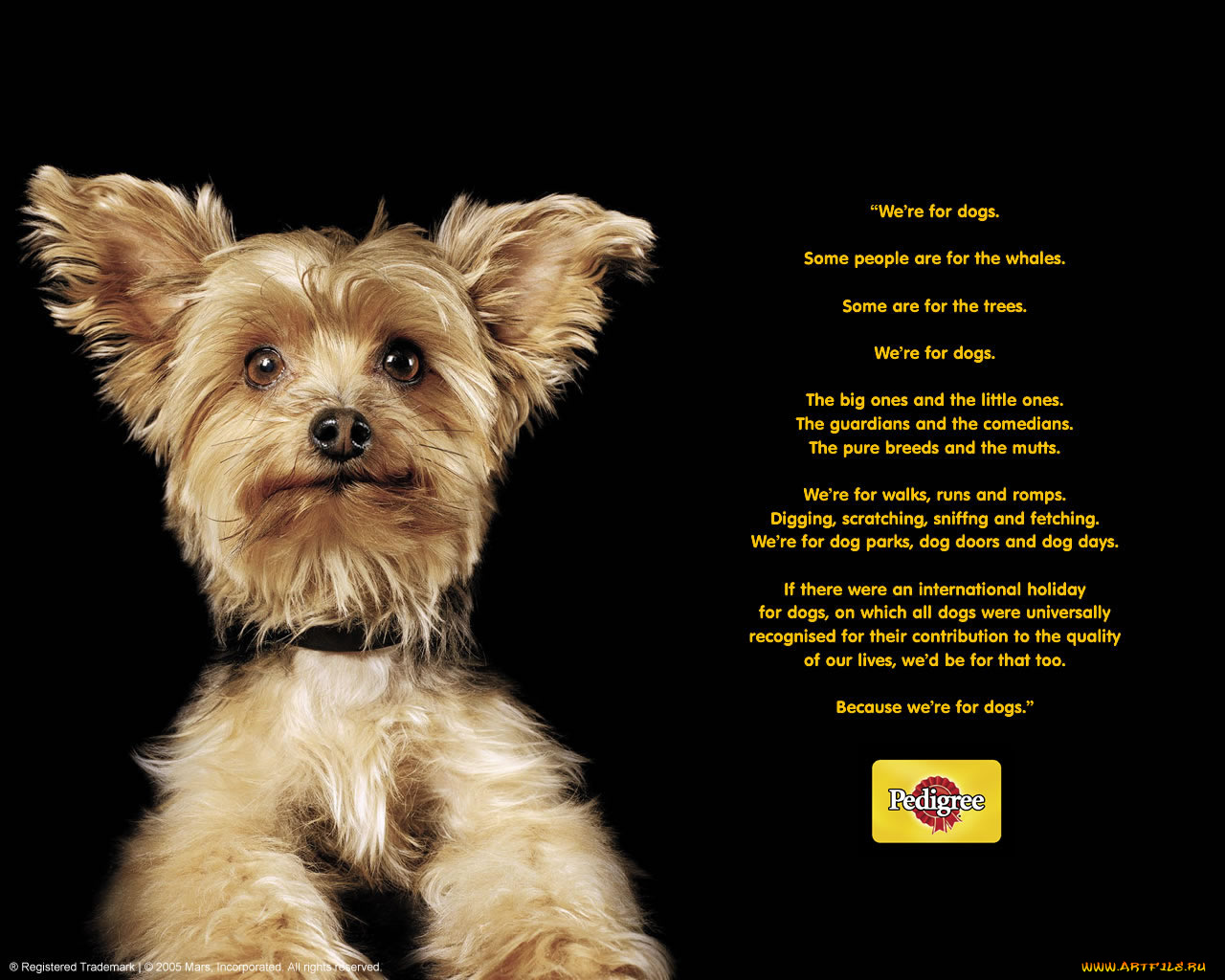 бренды, pedigree