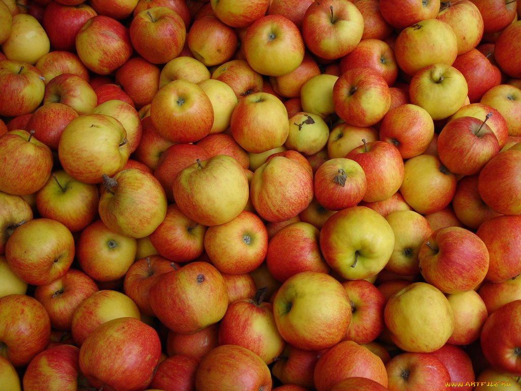 еда, Яблоки