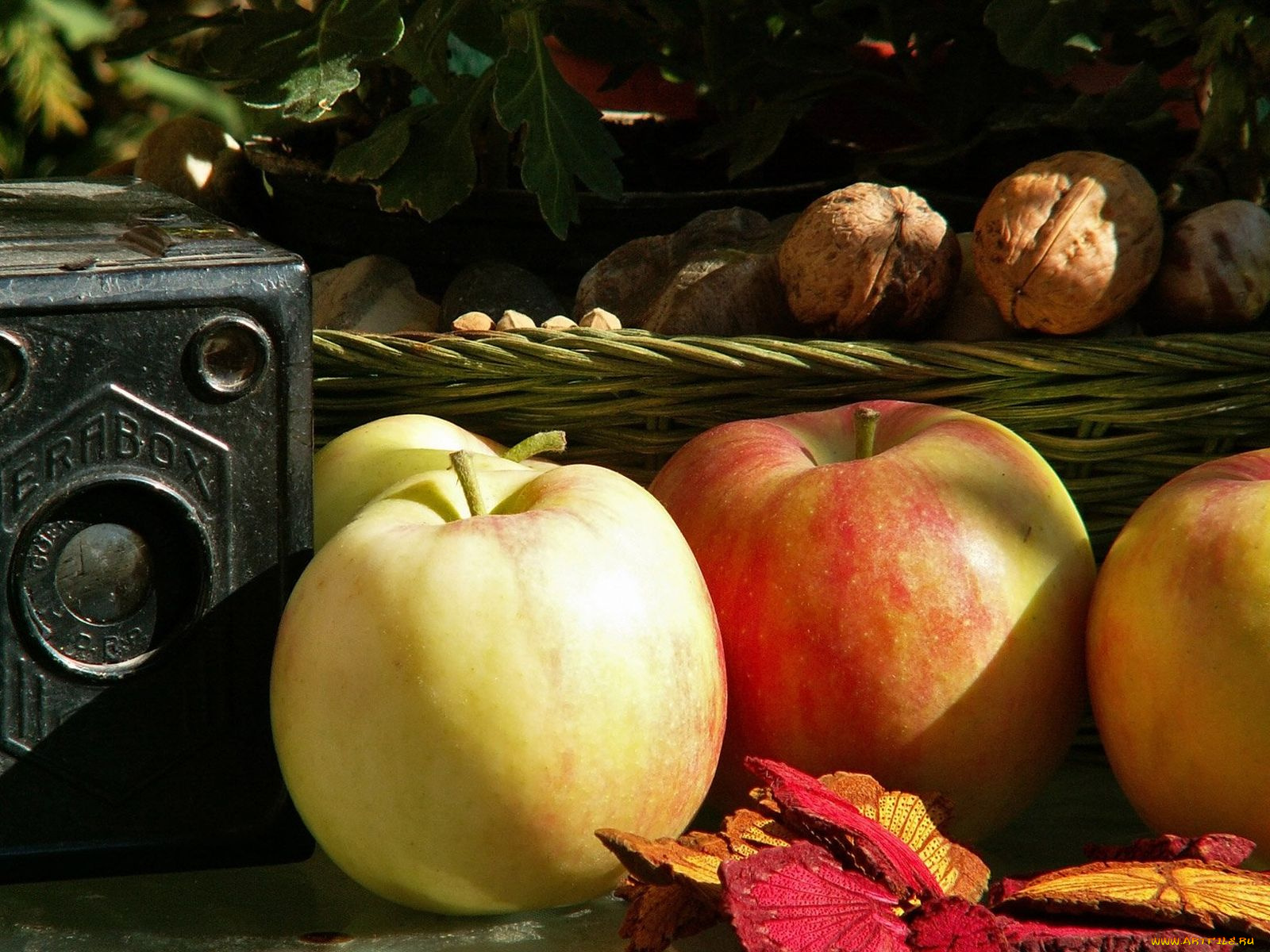 еда, Яблоки