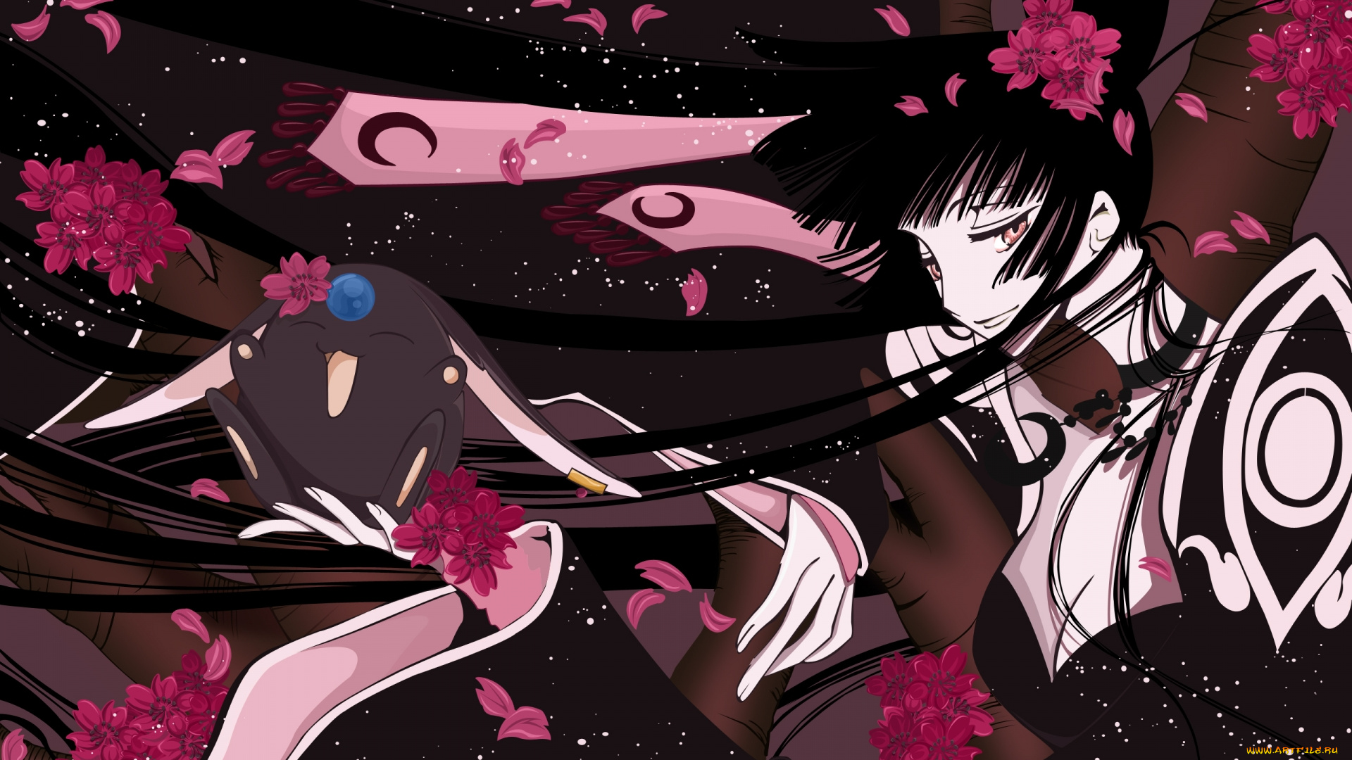 аниме, xxxholic