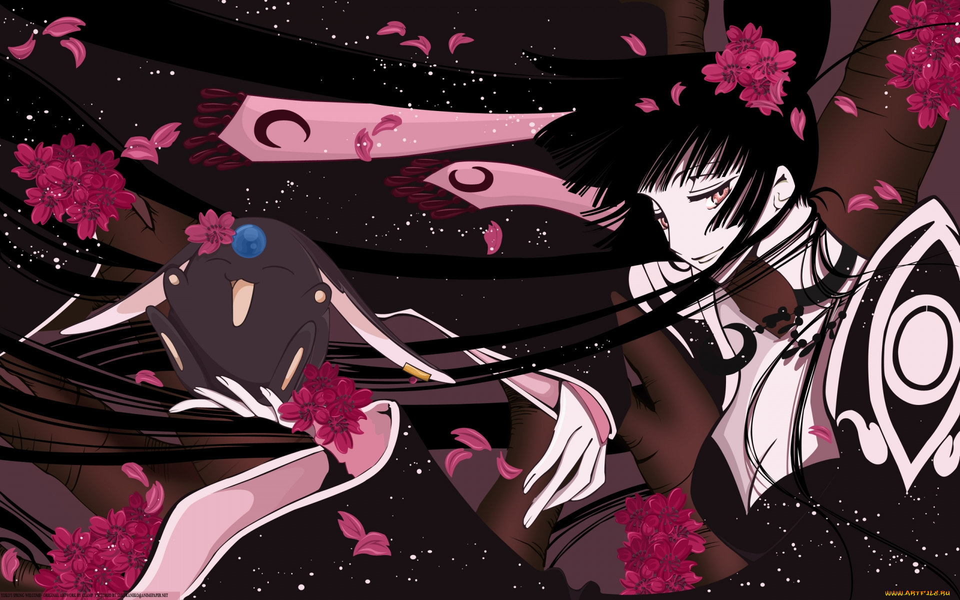 аниме, xxxholic