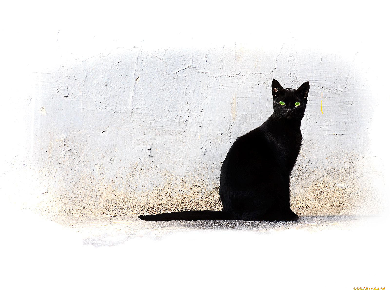 рисованные, животные