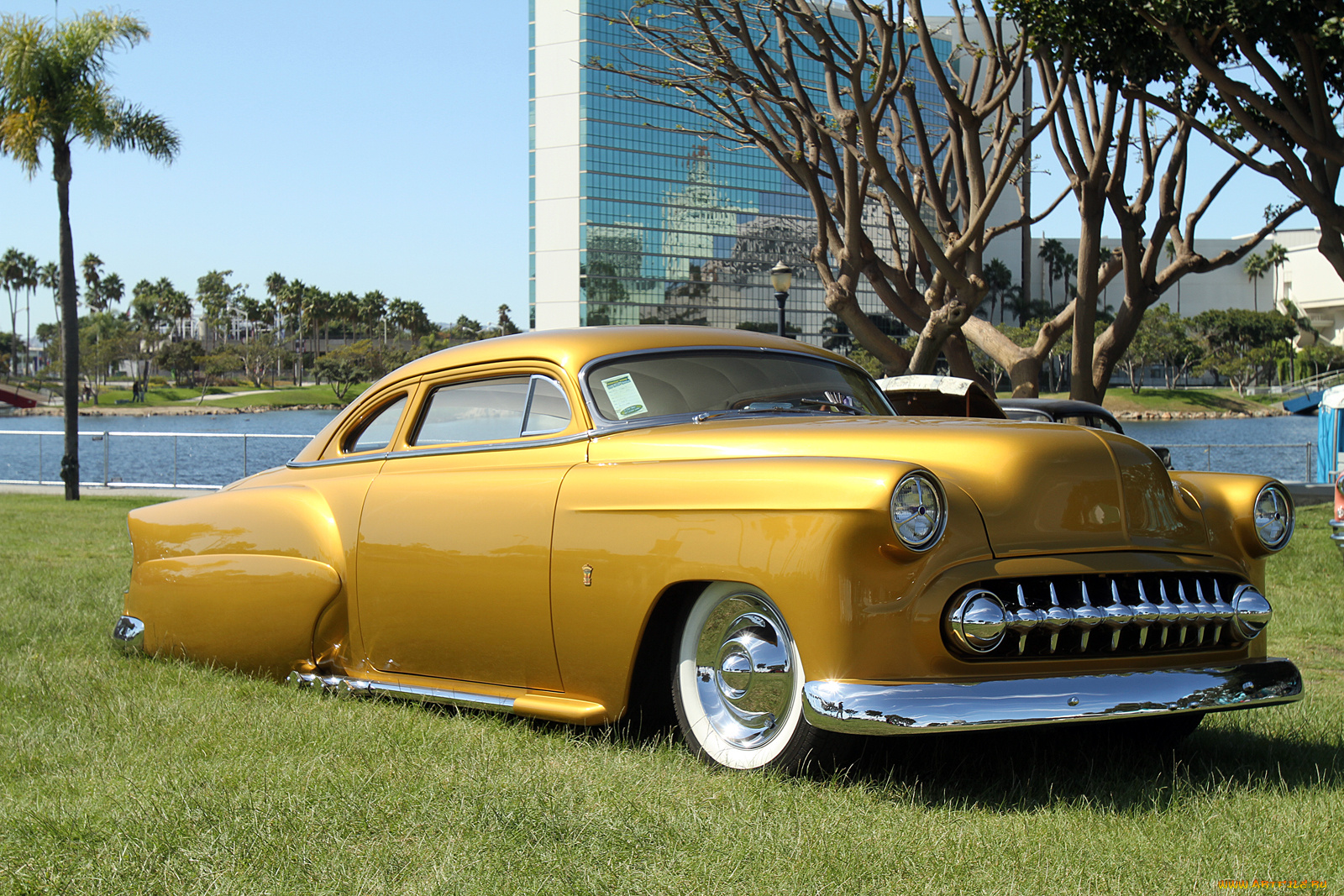 автомобили, выставки, уличные, фото, coverage