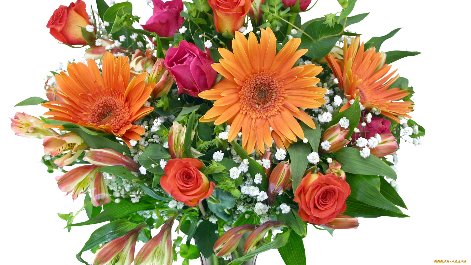 цветы, букеты, композиции, герберы, розы