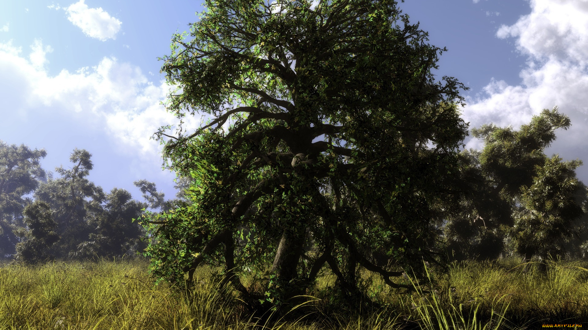 3д, графика, nature, landscape, природа, луг, дерево