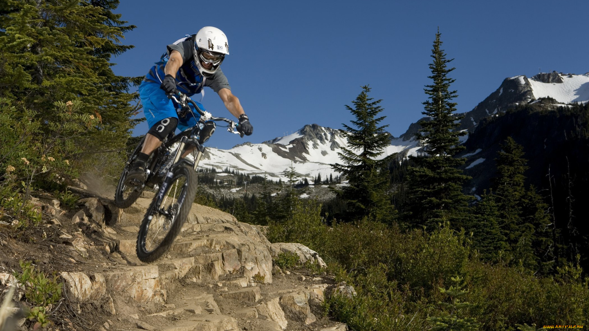 спорт, велоспорт, снег, downhill, mtb, горы, лес