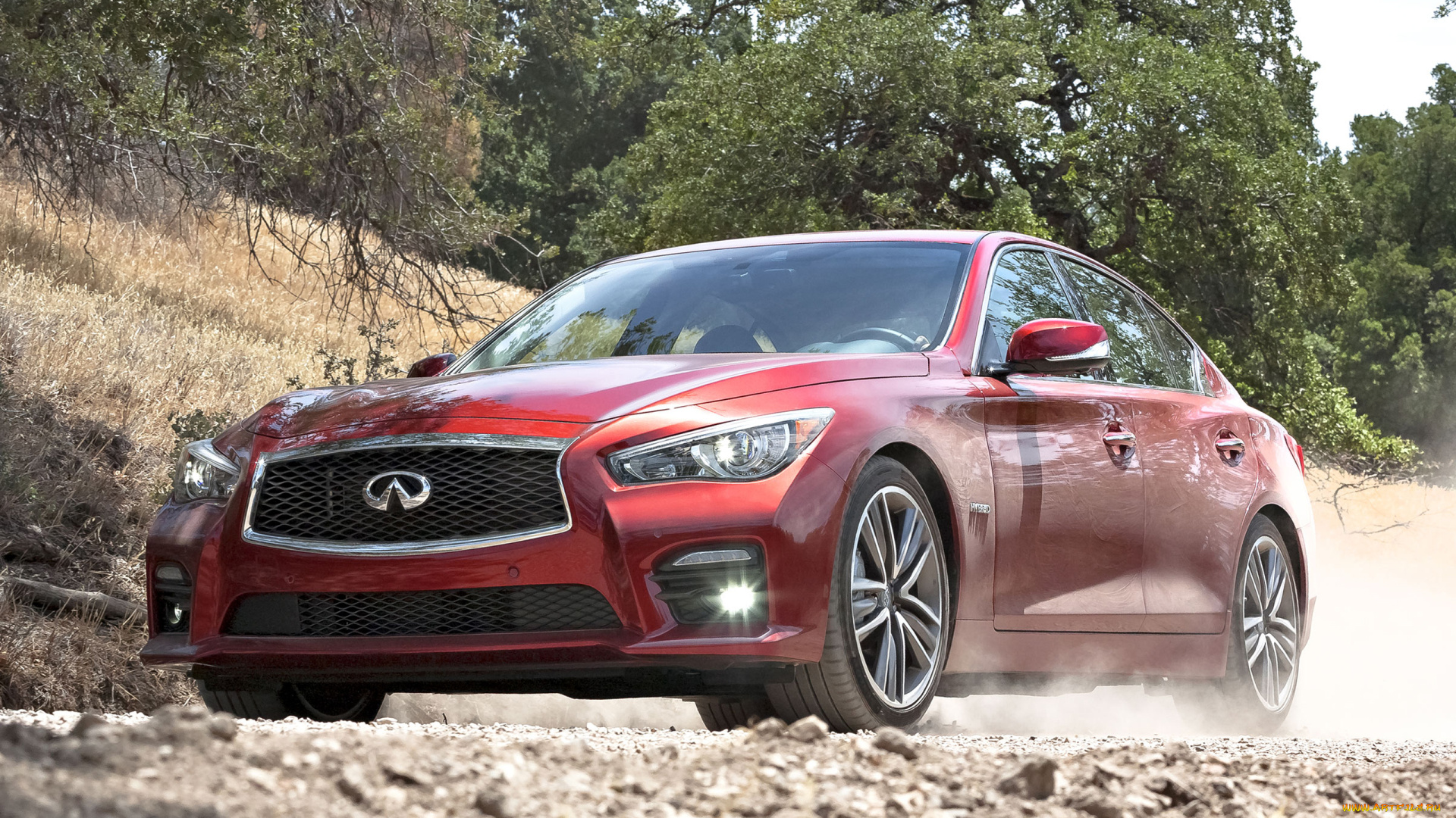 автомобили, infiniti, q50, cars