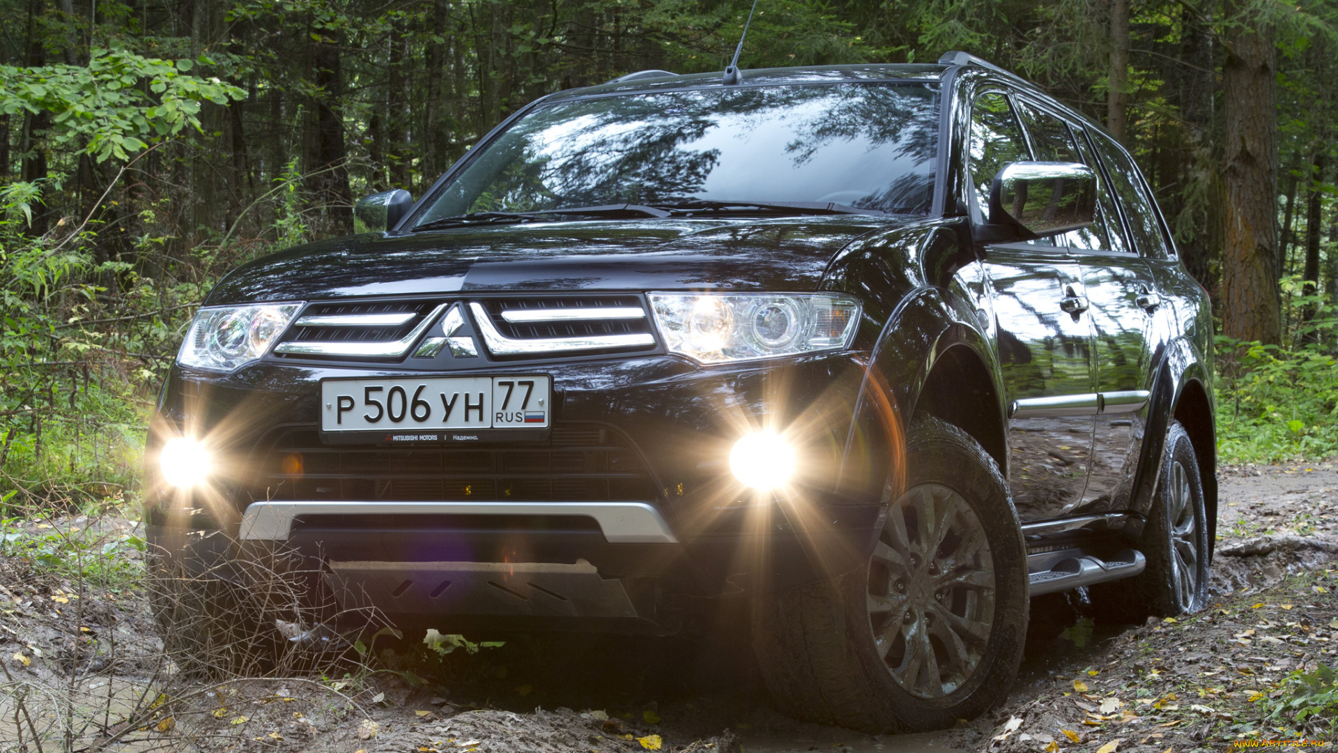 автомобили, mitsubishi, листва