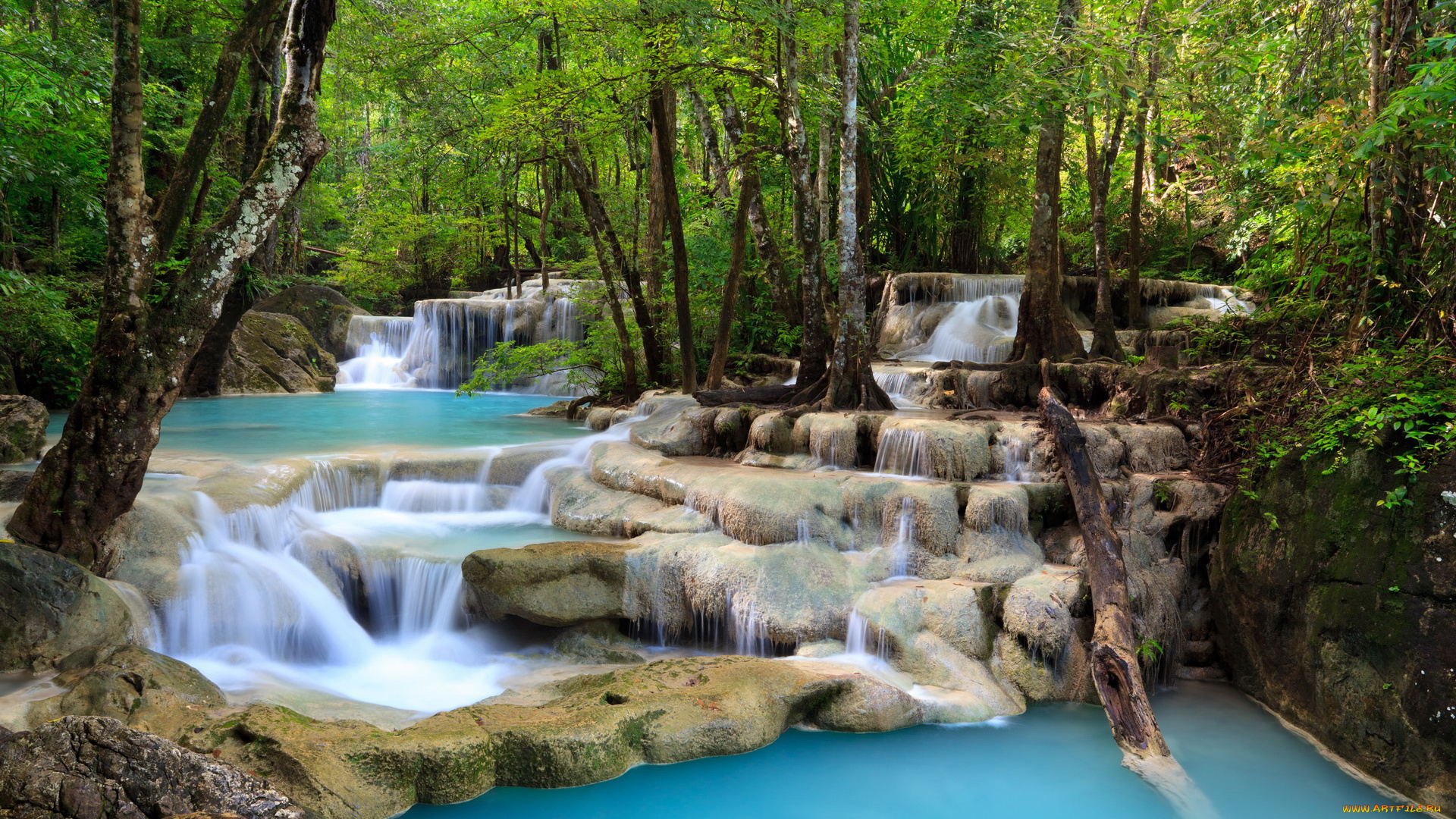 природа, реки, озера, лес, река, камни