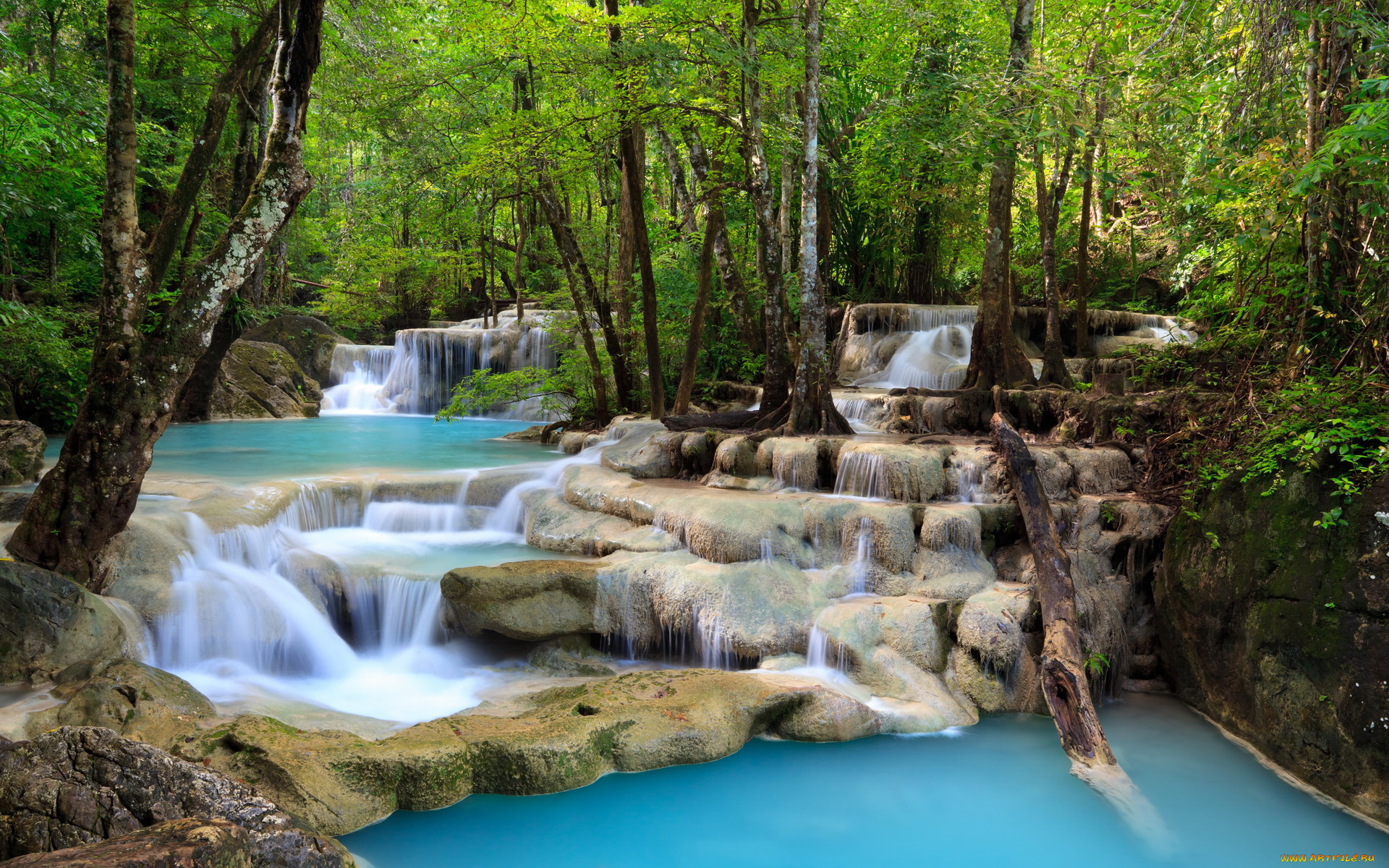 природа, реки, озера, лес, река, камни