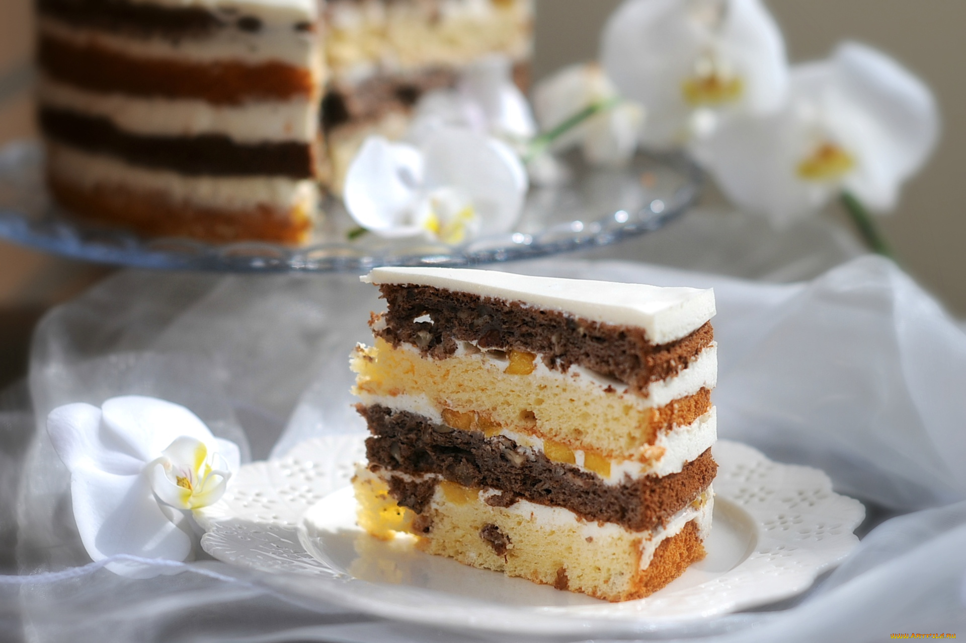 еда, торт, только, тортик